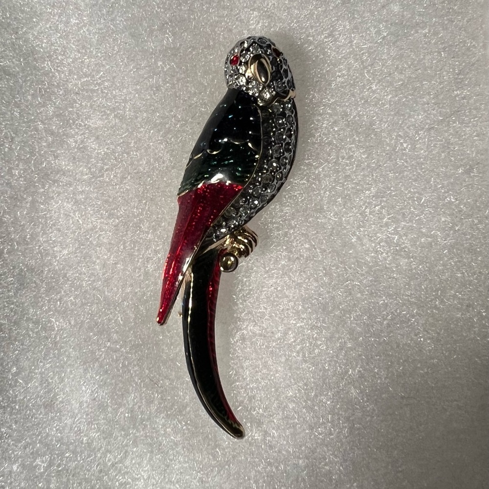 Pin parakeet